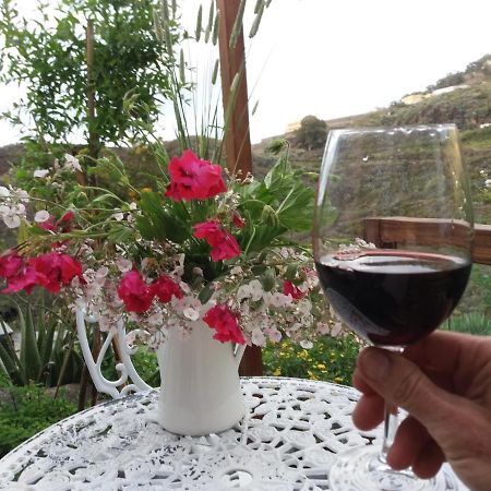 La Cueva De Angel B&B Firgas Εξωτερικό φωτογραφία