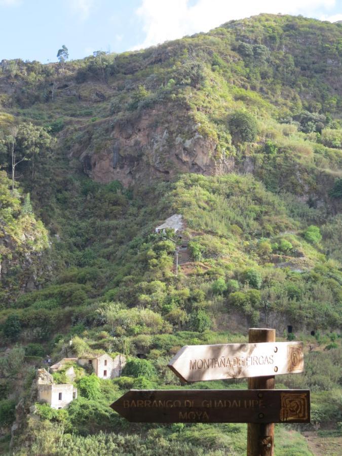 La Cueva De Angel B&B Firgas Εξωτερικό φωτογραφία