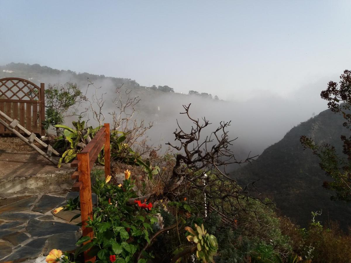La Cueva De Angel B&B Firgas Εξωτερικό φωτογραφία
